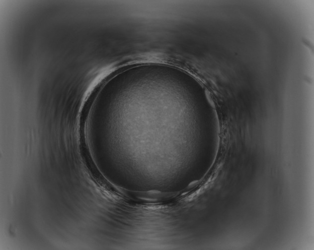 X0000093590200200710151211