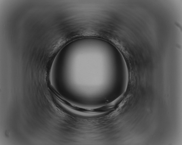 X0000093590201200710151211