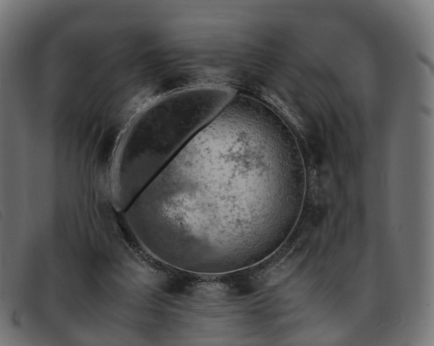 X0000093590203200710151211