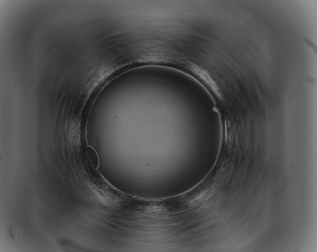 X0000093590204200710151211