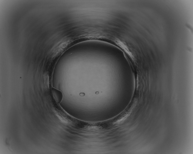 X0000093590205200710151211