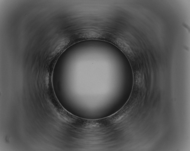 X0000093590206200710151211
