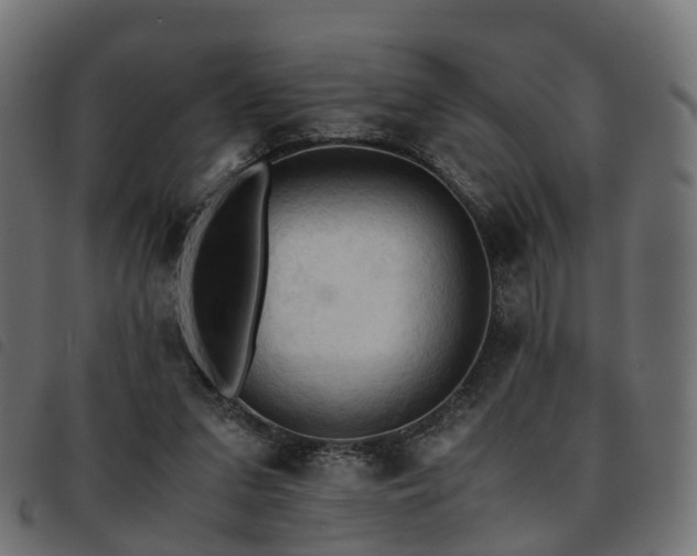 X0000093590207200710151211