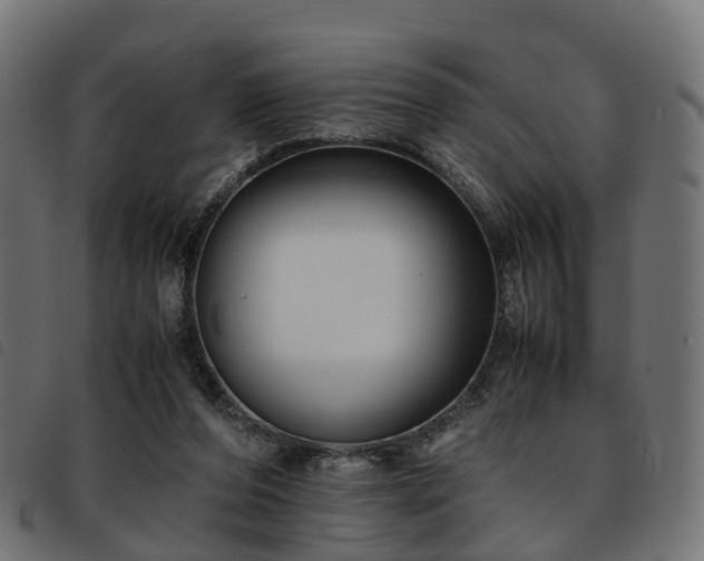 X0000093590208200710151211