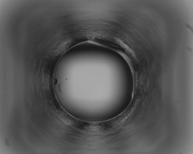 X0000093590209200710151211