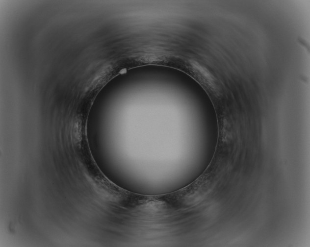 X0000093590210200710151210