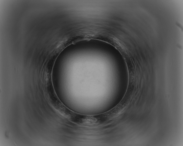 X0000093590215200710151210