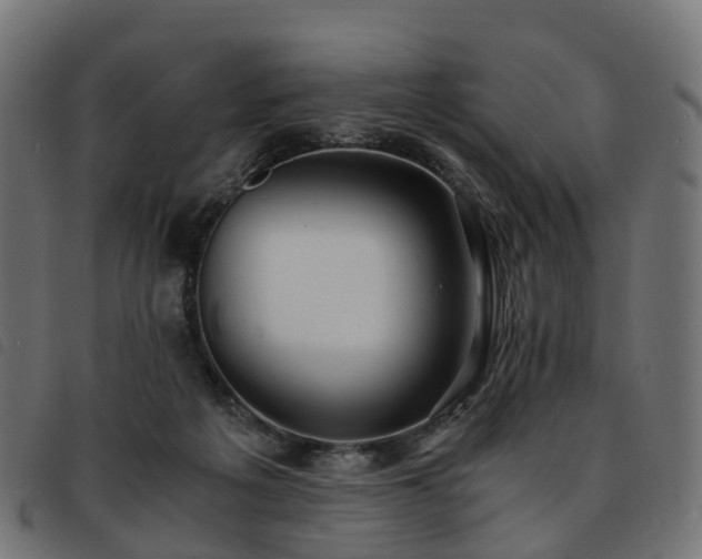 X0000093590217200710151210