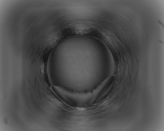 X0000093590219200710151210