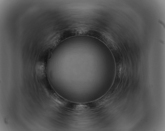 X0000093590222200710151210
