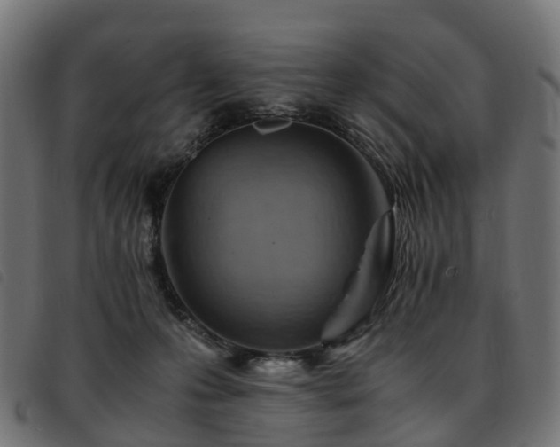X0000093590223200710151210