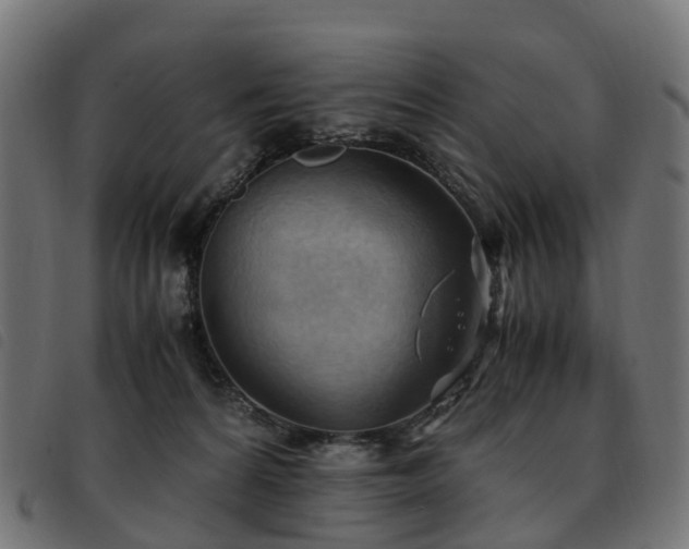 X0000093590224200710151210