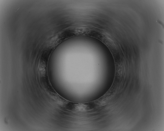 X0000093590226200710151210