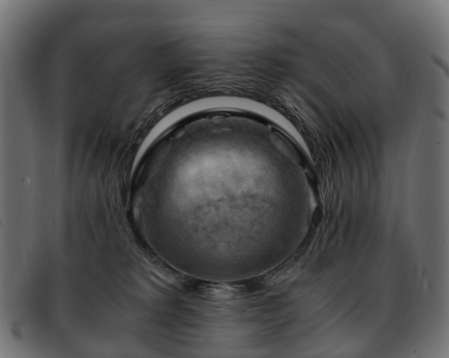 X0000093590229200710151210