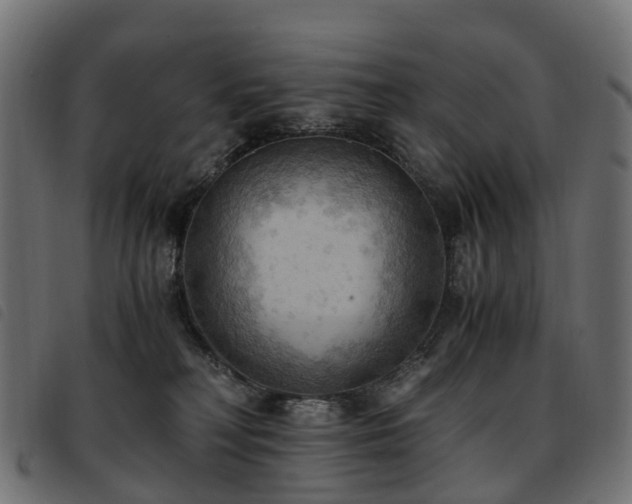 X0000093590230200710151210