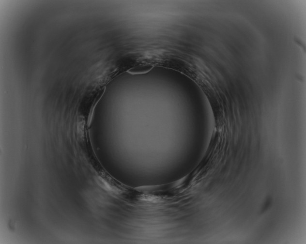 X0000093590231200710151210