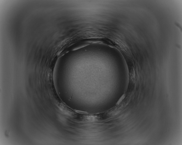 X0000093590233200710151210