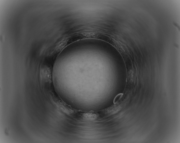 X0000093590234200710151210