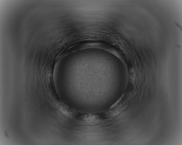 X0000093590235200710151210
