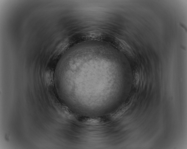 X0000093590236200710151210