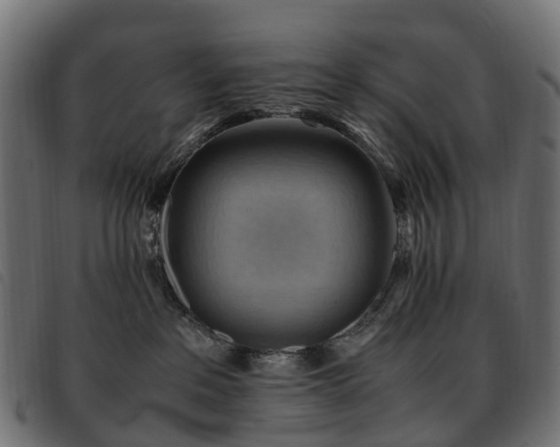 X0000093590237200710151210
