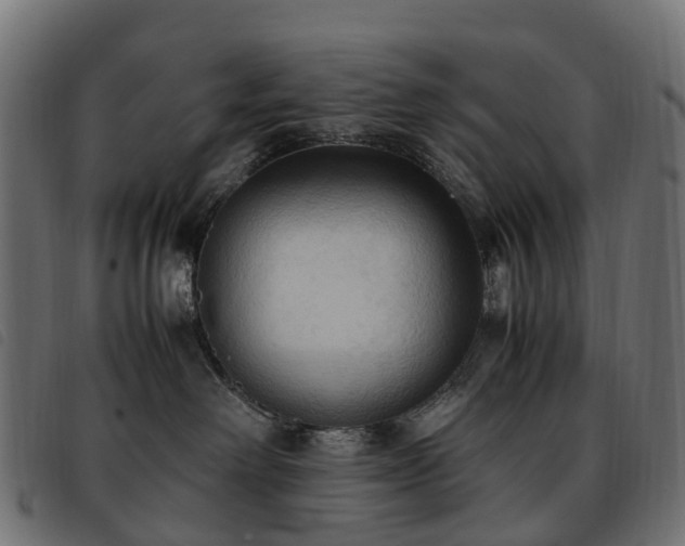 X0000093590238200710151210