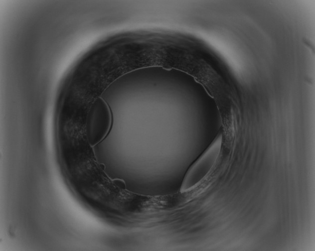 X0000093590239200710151210
