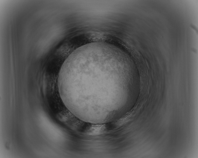 X0000093590240200710151210