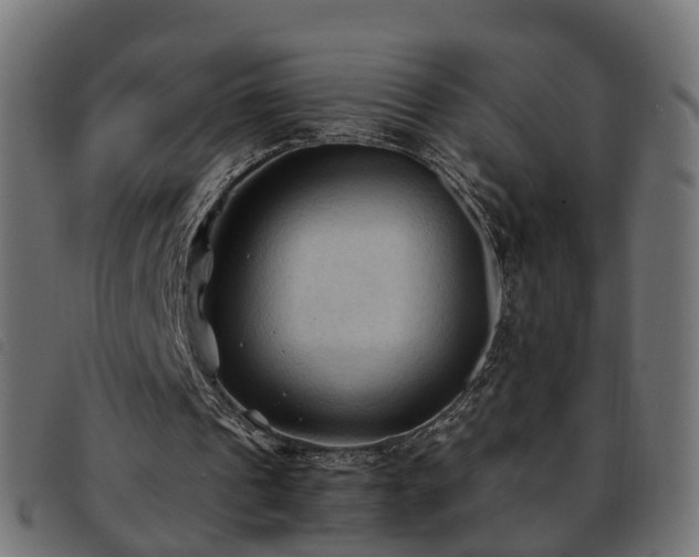 X0000093590241200710151210
