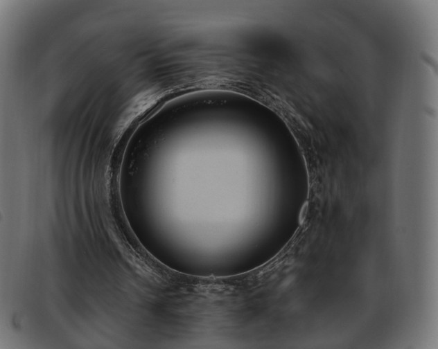 X0000093590242200710151210