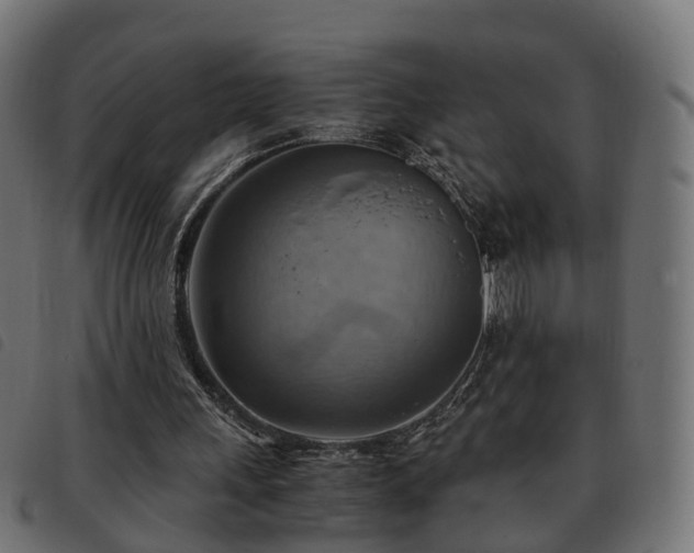 X0000093590243200710151210