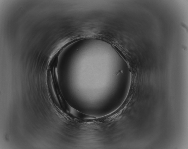 X0000093590244200710151210