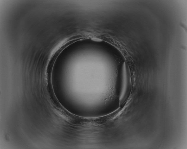 X0000093590246200710151210