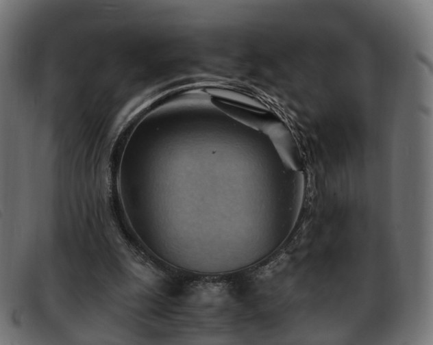 X0000093590247200710151210