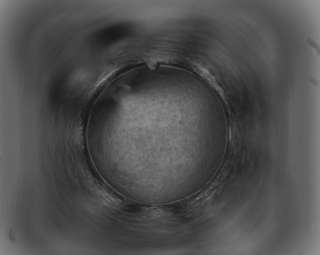 X0000093590249200710151210