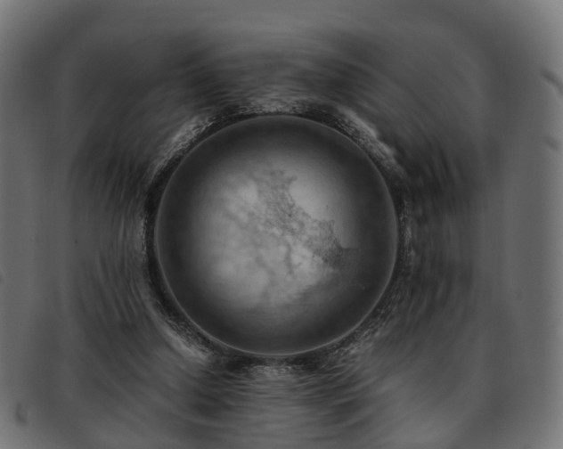 X0000093590250200710151210