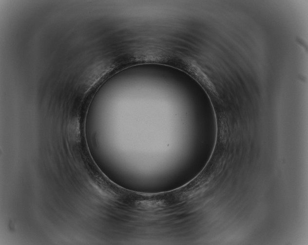 X0000093590251200710151210