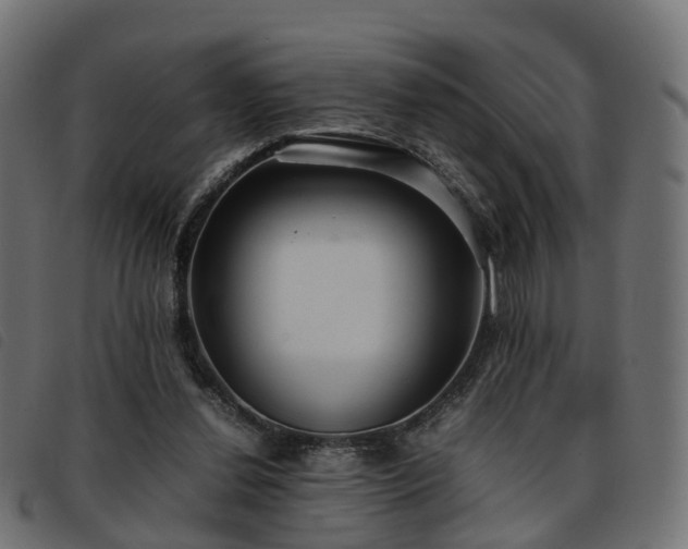 X0000093590252200710151210