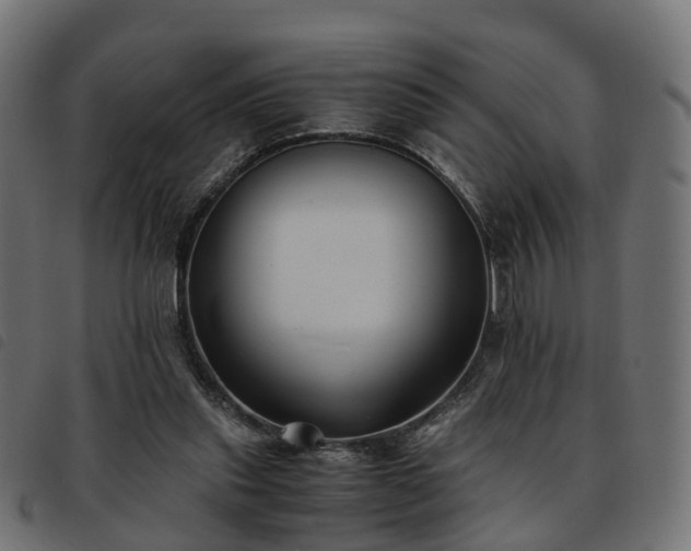 X0000093590253200710151210