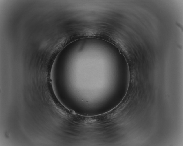 X0000093590257200710151210