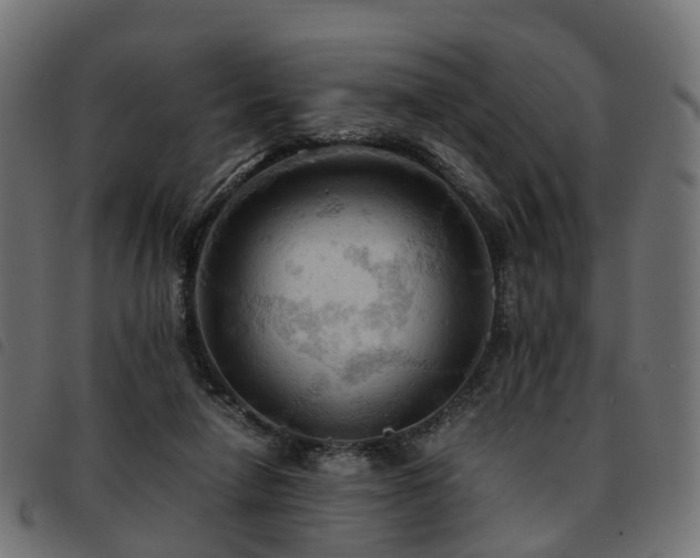 X0000093590258200710151210