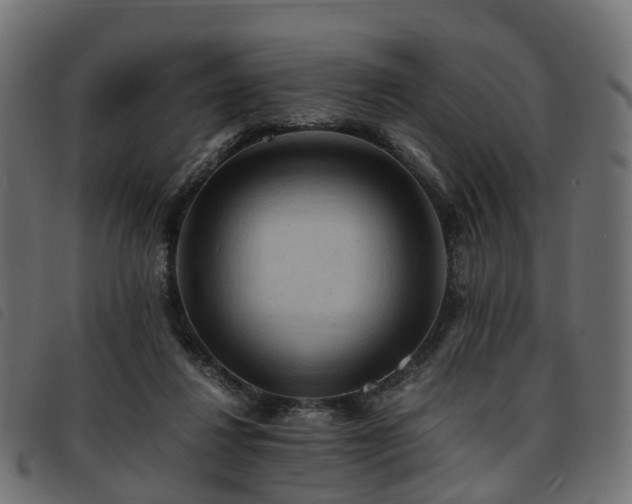 X0000093590260200710151210