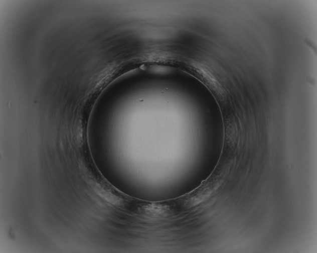 X0000093590261200710151210