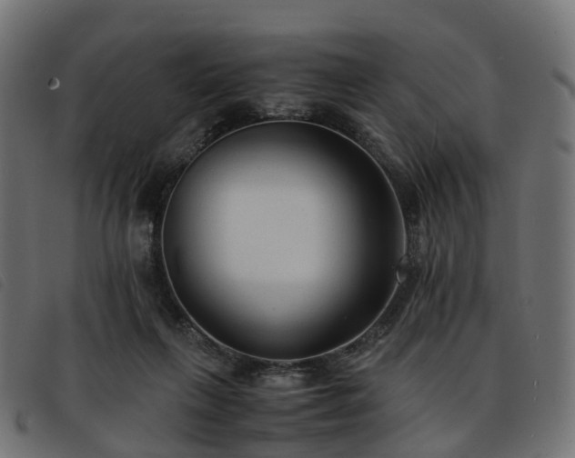 X0000093590263200710151210