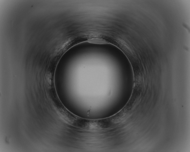 X0000093590264200710151210