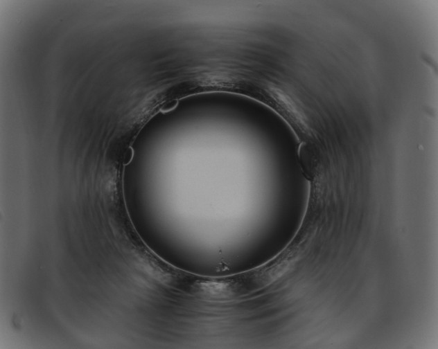 X0000093590265200710151210