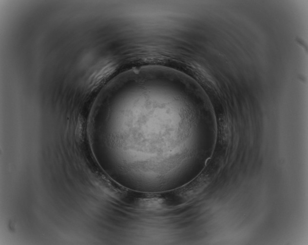 X0000093590266200710151210