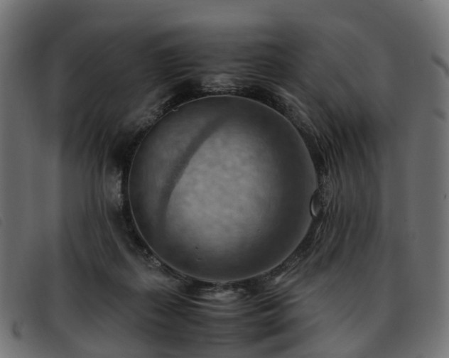 X0000093590267200710151210