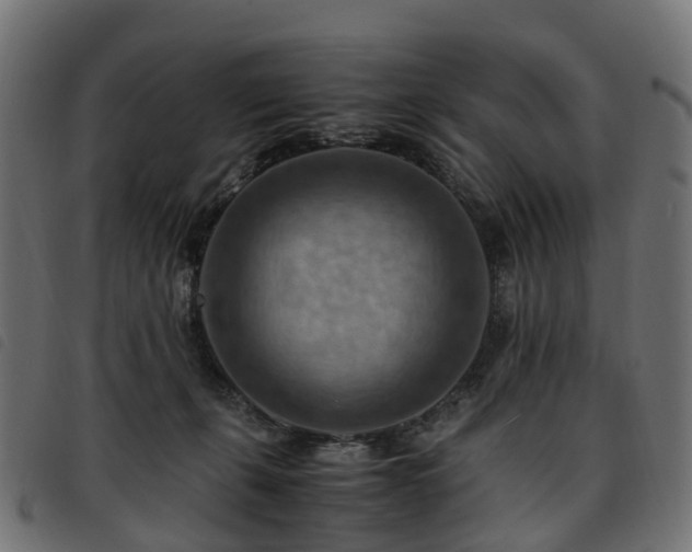 X0000093590271200710151210