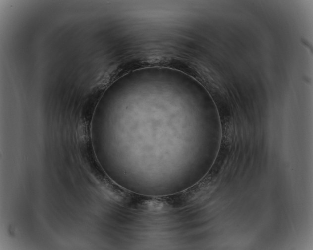 X0000093590272200710151210